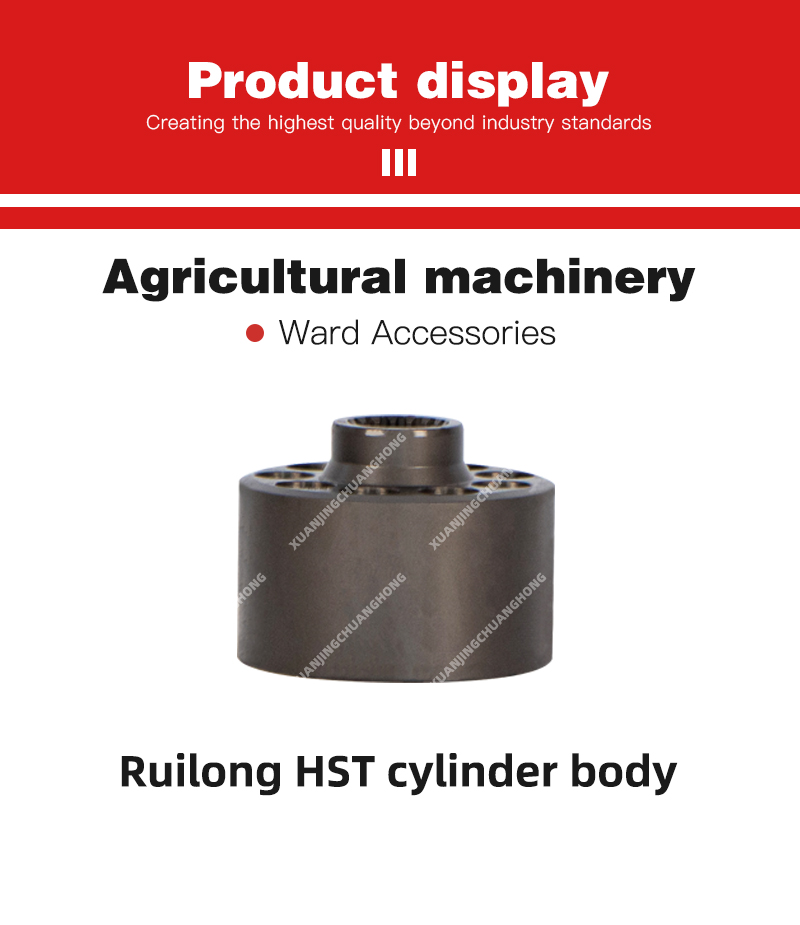 1763019094155181.jpg Ruilong HST cylinder body.jpg
