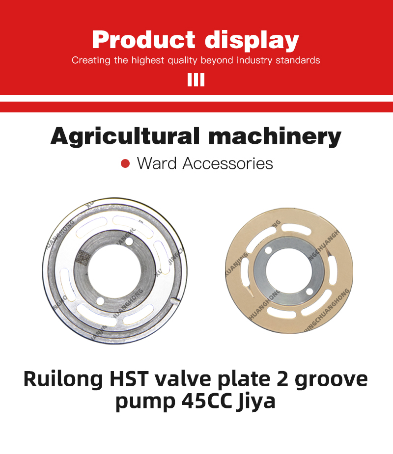 Ruilong HST valve plate 2 groove pump 45CC Jiya.jpg