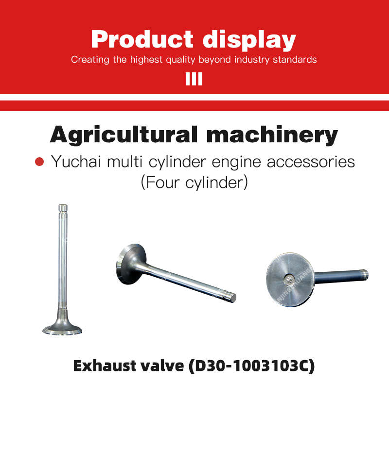 Exhaust valve (D30-1003103C).jpg