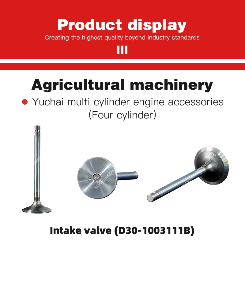 1763198439215887.jpg Intake valve (D30-1003111B).jpg