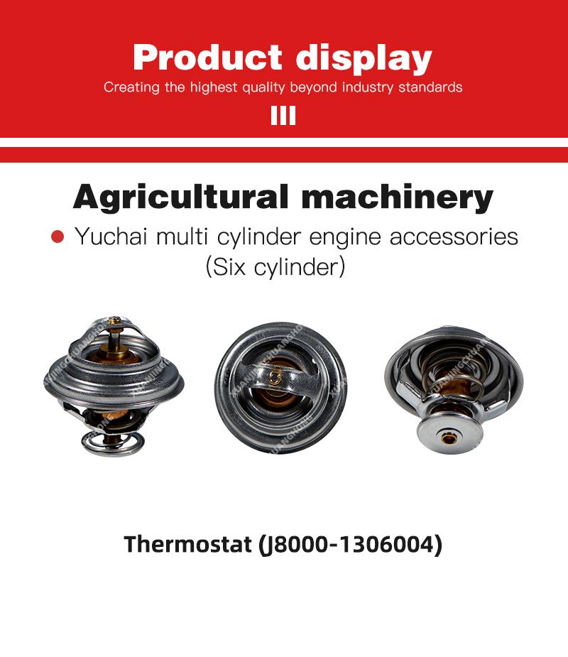 1763455262170870.jpg Thermostat (J8000-1306004).jpg