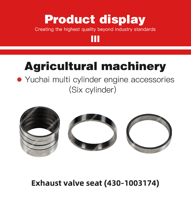 1763455323728515.jpg Exhaust valve seat (430-1003174).jpg