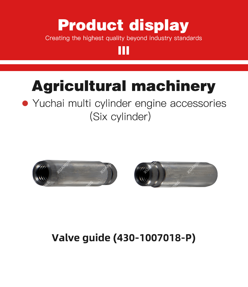 Valve guide (430-1007018-P).jpg